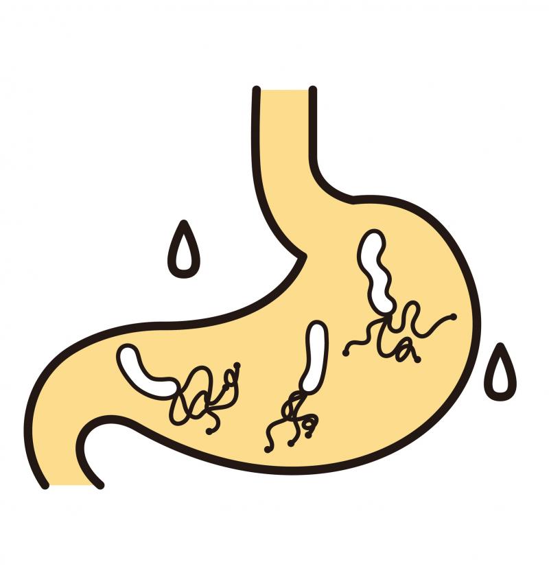 ワンステップ除菌治療（午後2時）